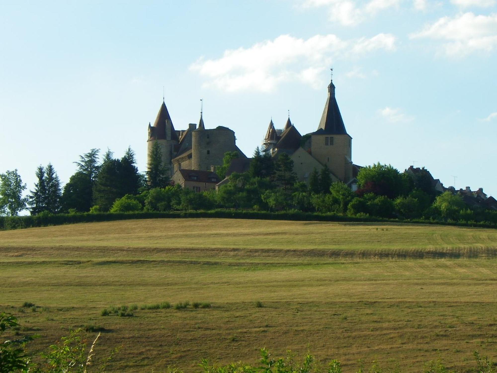 Le Cottage Du Chateau Chaudenay-le-Château Exteriér fotografie
